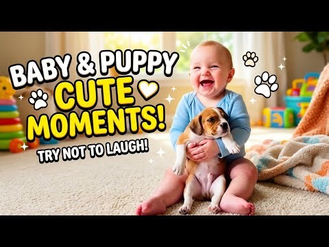 Funny Kids Playing With Dogs 🐕 | Cutest Moments on the Internet