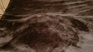 What werid things do your pets do? 👻🙀#lilybutt