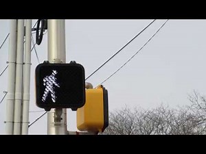 Leotex LED Countdown Walk Signal With New Camera
