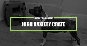 Don't settle for less, or even second best, when it comes to keeping your pet safe. | Impact Dog Crates | Facebook