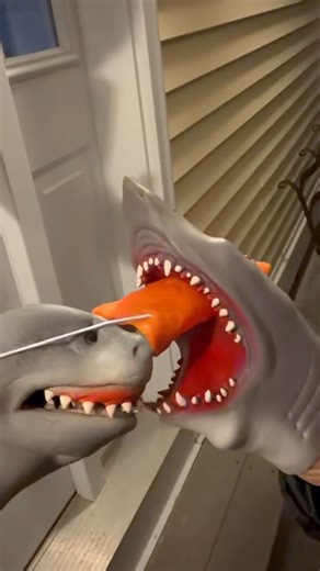 Do you want to build a shark man 🥹 | The Shark Puppet