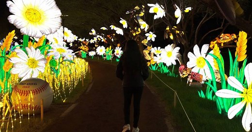 ‘Tianyu Lights Festival’ returns to the Valley with new lanterns and themes