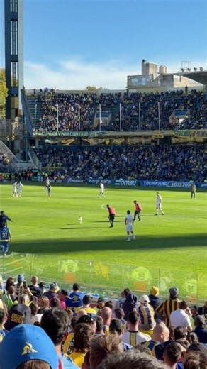 Dog Storms Pitch and Outruns Security at Soccer Match