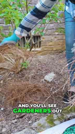 Prevent Erosion with This Mulch