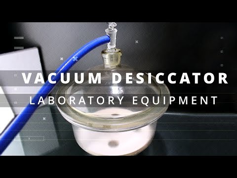 Vacuum Desiccator