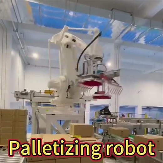 Robotic Palletizing System for High-Efficiency Automated Packaging and Logistics