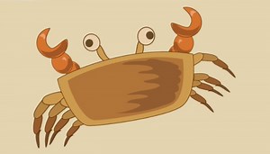 Why do Crabs walk Sideways? - Biology For Kids | Mocomi