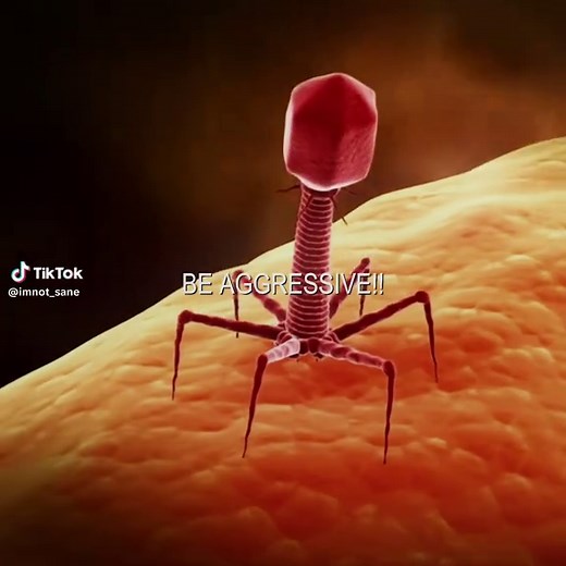 Exploring the Fascinating World of Phages in Biology