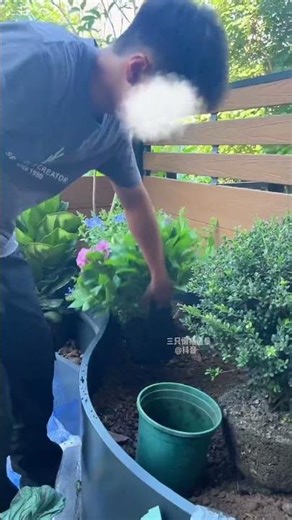 Creating a Mini Garden Landscape on the Balcony