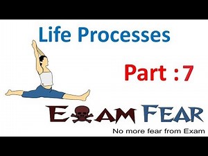 Biology Life Processes part 7 (Nutrition in Amoeba & Paramecium) CBSE class 10 X