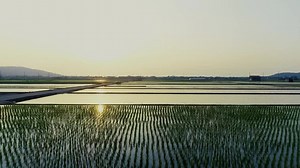 「淡路島」の写真素材 | 8,834件の無料イラスト画像