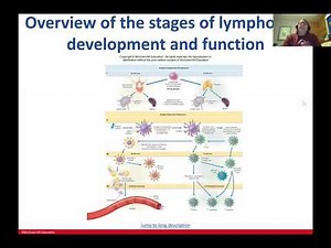 BIO 253 Zoom Lecture Chapter 13 part 1