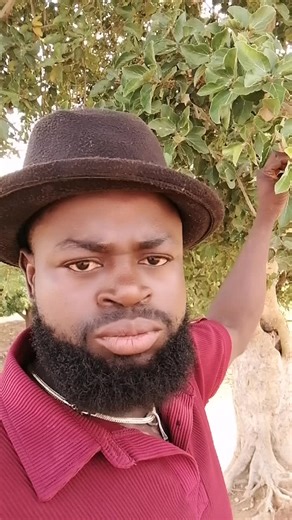 Nature and power of 🌿 (@nature.and.power.o)’s videos with original sound - Nature and power of 🌿