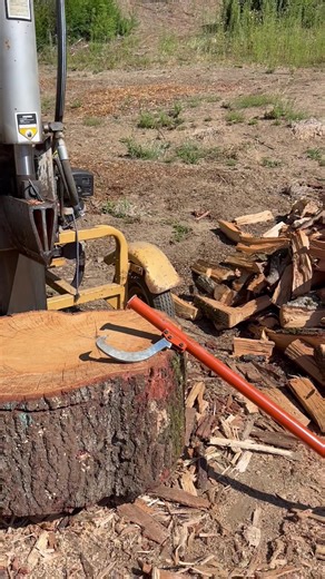 Big oak split half of it have 42 pieces already