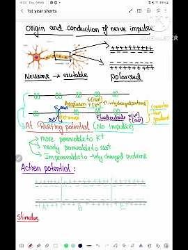 origin and conduction of nerve impulse