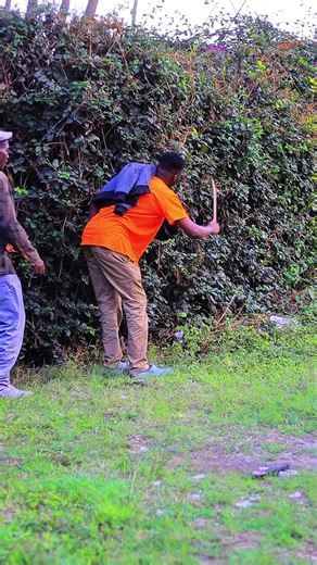 noma sana@🐱mami 🍯 @Papa Kalou @Mike Desmond