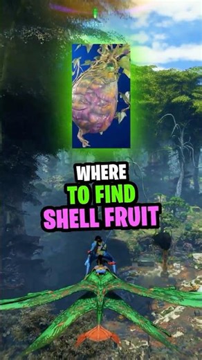 Secret Shell Fruit Spot Avatar Frontiers of Pandora
