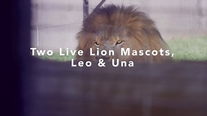 67K views · 197 reactions | Your story matters at the University of North Alabama! Check out una.edu/admissions to start yours! | University of North Alabama | Facebook