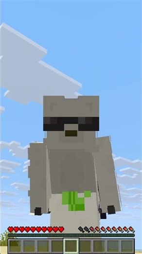 #minecraft #cape