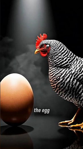 What Came First: Chicken or Egg? 🤯