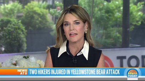 Hikers Mauled by at Least One Bear in Yellowstone National Park
