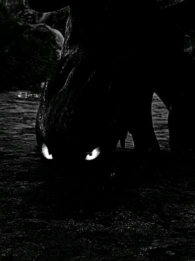 How to Train Your Dragon: Toothless and Night Fury Guide