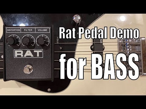 Bass Distortion with Rat Pedal - Demo