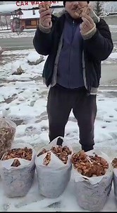 15.12.2023 Ghebe (Armillaria melleal) in luna decembrie #funghiporcini #boletusedulis #kingbolete #pennybun #ciuperci #гриби #grzyby #hribi #pilze #cepes #mushroom #houby #hongos #เห็ด #gomba #гъби #Грибы #mantarlar #cogumelos #fungi #मशरूम #মাশরুম #nấm | Funghi porcini /Boletus edulis mushroom