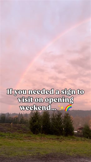 There’s no place like Frog Pond Farm at Christmas. Discover it for yourself each weekend through December 21st. 📍 2983 SW Advance Rd, Wilsonville, OR 🌲No entry fee | Dog Friendly | Support Local | Frog Pond Farm