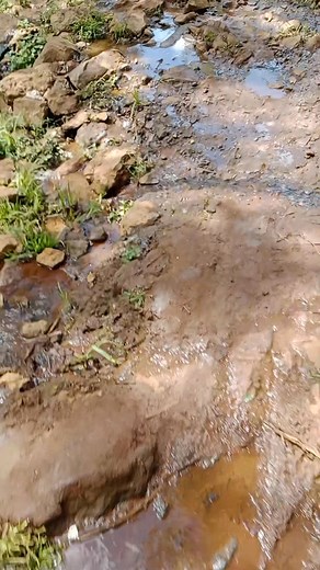 Governor Hon. Rev. Mutuma M'Ethingia tells us about two-term daily when simple county roads like the bypasses linking Maua-Meru road to the Farm-National Park road remain impassable. We don't know what he is lobbying from the national government when a 1.8 KM Kathima-Down Park road that was 60% complete by KURA in his home town remains a stalled project. #accountability #meru | Kithinji Muthomi