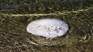 5.7K views · 171 reactions | Air Wave - The worlds first eco friendly inflatable surf reef... Airwave inflatable surf reefs will revolutionize the way we create new waves in the ocean. They are quick to install and eco friendly. Keen to get one along the beaches of WA then check out the link below: www.kickstarter.com/projects/airwavesurfreefs/airwave-the-worlds-first-inflatable-surf-reef | Surfing Western Australia | Facebook