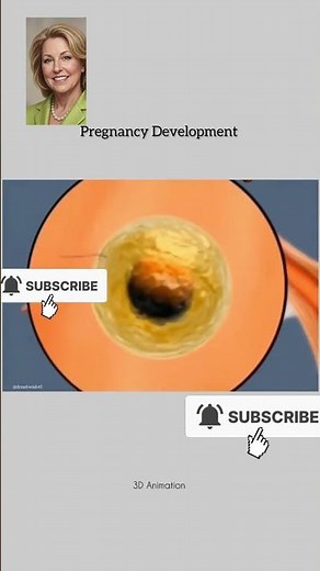 The Incredible Journey from Conception to Birth 👶