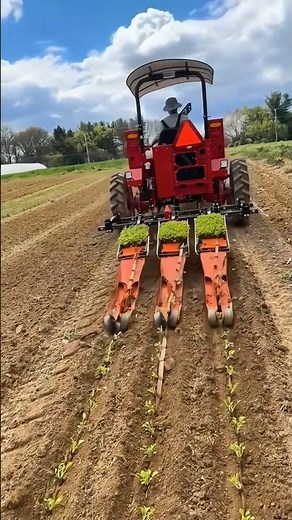 Modern Transplanting Machine | Fast & Efficient Seedling Planting Technology