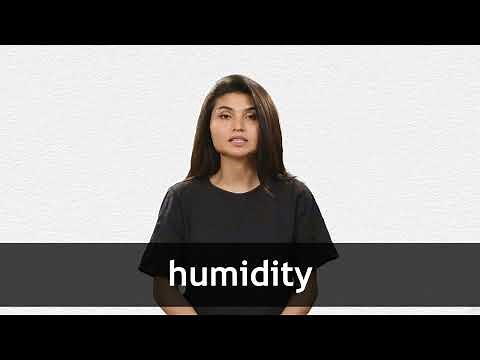 How to pronounce HUMIDITY in American English