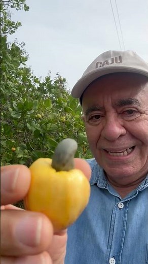 CASHEW: SWEET AS HONEY #cashewculture