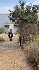 Way to go Falken!! #horseriding #enckstraining #horsetraining #southdakota #gelding | Enck's Training LLC