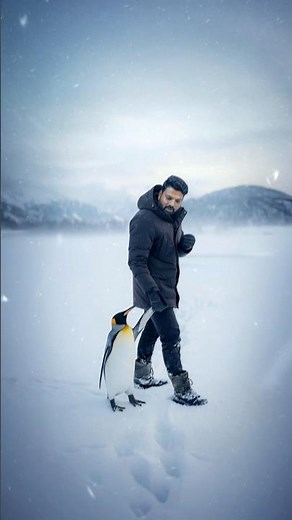 Lets save the penguin 🐧