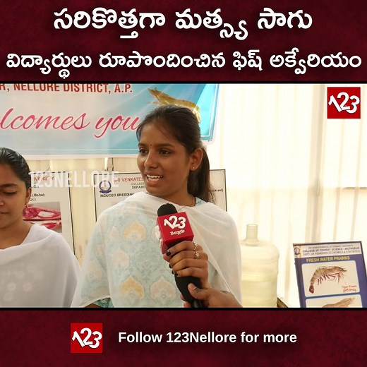 26K views · 537 reactions | Fish Aquarium by Nellore Fisheries College Students. | 123Nellore | Facebook