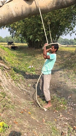 rope and tree #funny