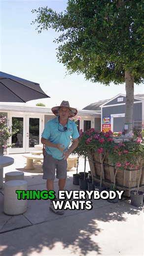 The Ficus Indian Laurel is the perfect way to add privacy and shade to your yard! 🌲 Dense, evergreen foliage 🌲 Provides instant shade and natural privacy 🌲 Thrives in the summer heat and sunlight 🌲 Acts as a great sound barrier for busy streets Visit Moon Valley Nurseries and see how the Ficus Indian Laurel can bring your dream yard to life! | Moon Valley Nurseries