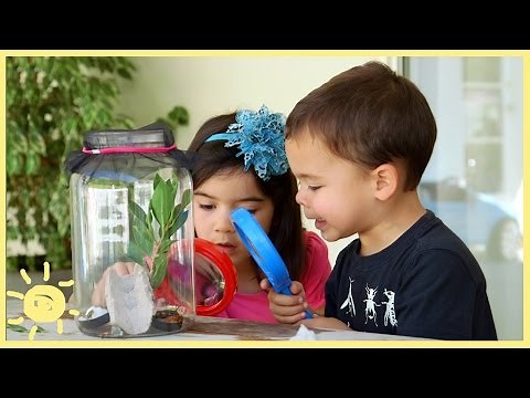 PLAY | 3 Easy Bug Habitats