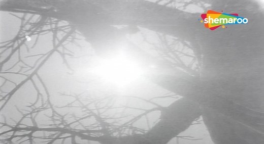 165K views · 10K reactions | Filmi Gaane on Reels | Facebook