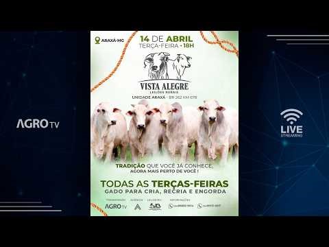 VISTA ALEGRE LEILÕES ARAXÁ - 14/04/2026