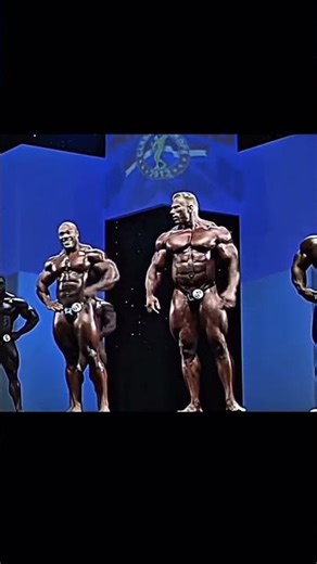 Dennis Big Bad Wolf 🐺 #shorts