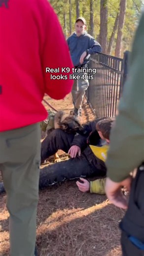 1.7K views · 5.6K reactions | There’s something special about seeing...