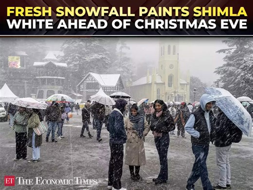 Himachal Pradesh: Snow in Shimla ahead of Christmas cheers locals, tourists; IMD issues yellow alert