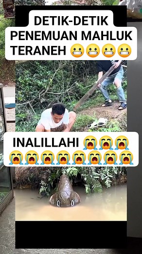 #vidio #viral #facebook #trending #predator @sorotan | Aep Saepudin