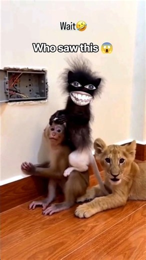 fun funny comedy #shorts