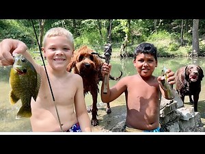 Bluegill Catch, Clean, and Cook Turned CRAZY Fast!