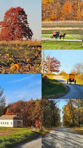 2.2K views · 74 reactions |  Autumn in Amish Country  There’s...